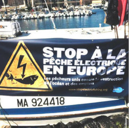 Dites Stop à la pêche électrique en Europe !